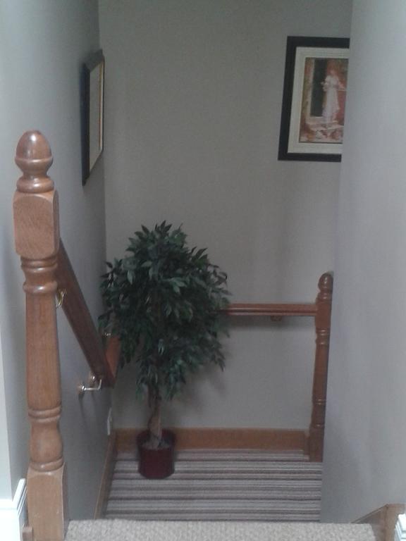 Ryebrook House Panzió Cill Airne Kültér fotó
